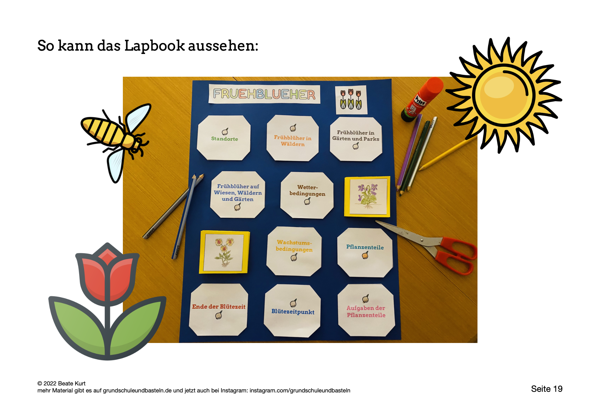  Lapbook Frühblüher 