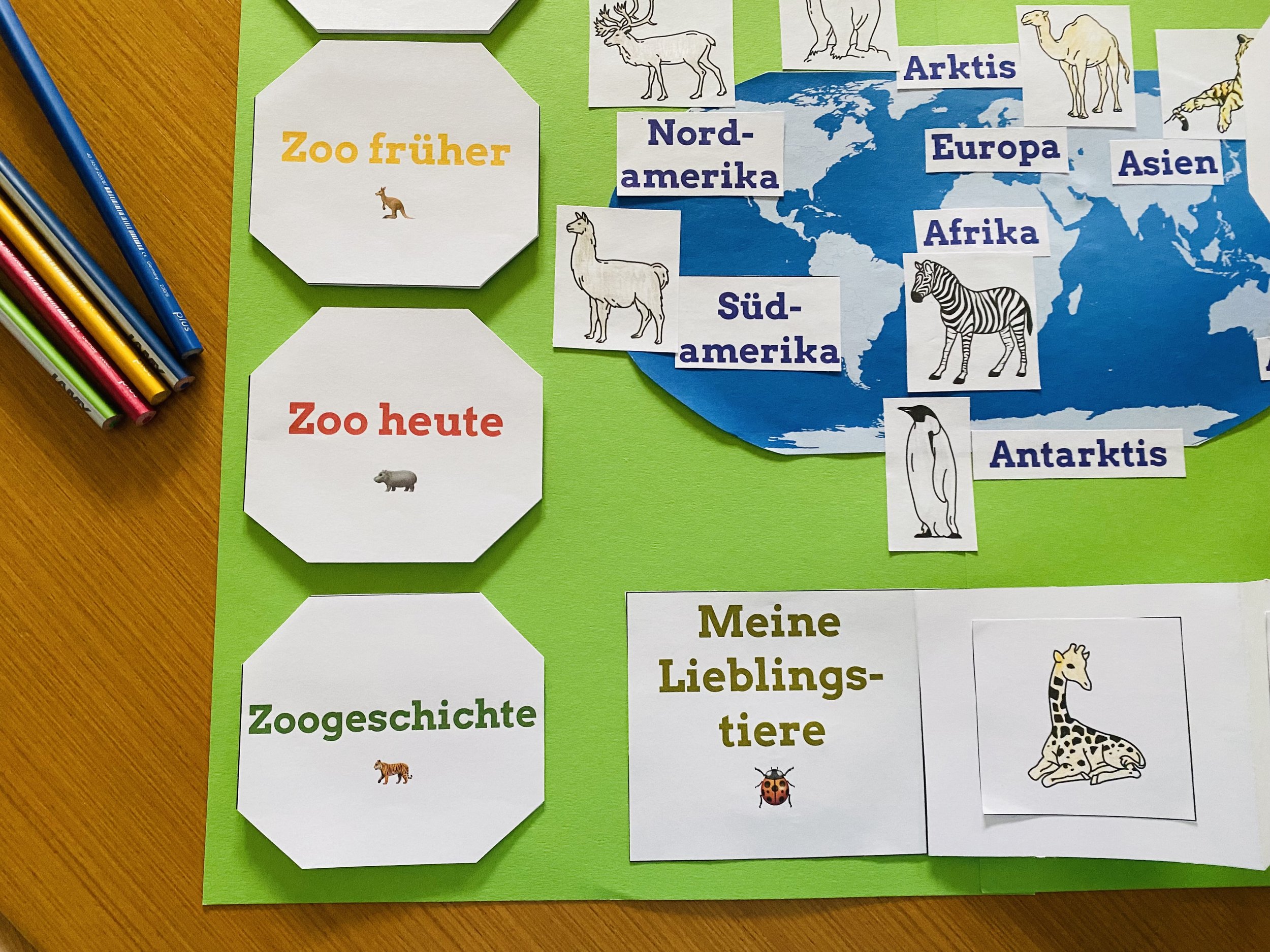  Arbeitsmaterial Lapbook Zoo 