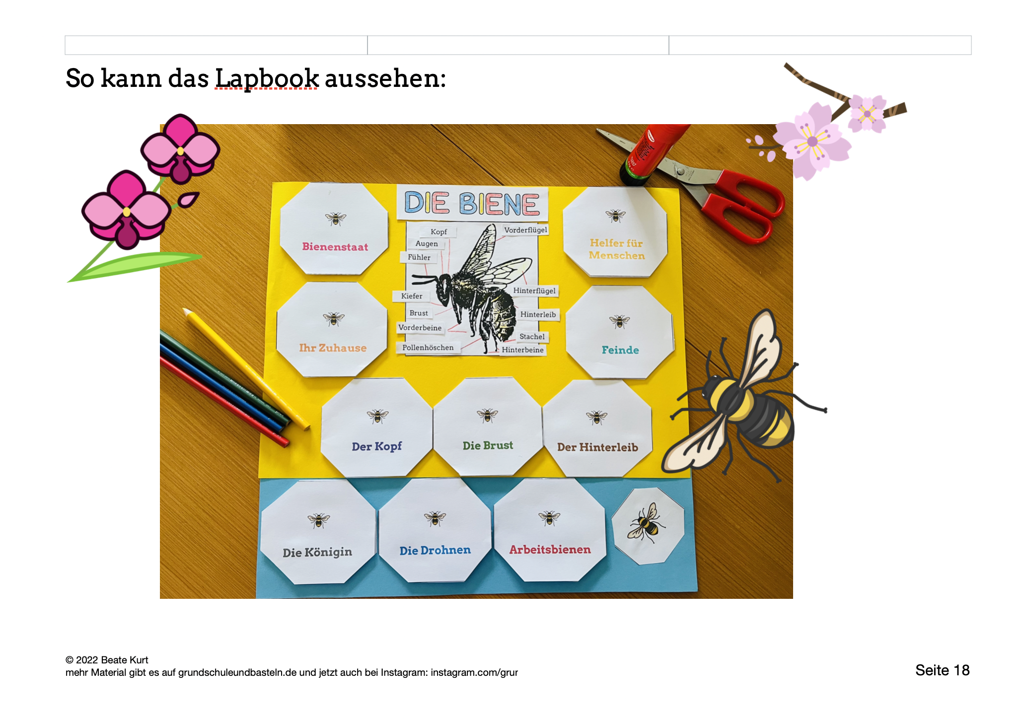  Vorschaubild zu Lapbook Biene 