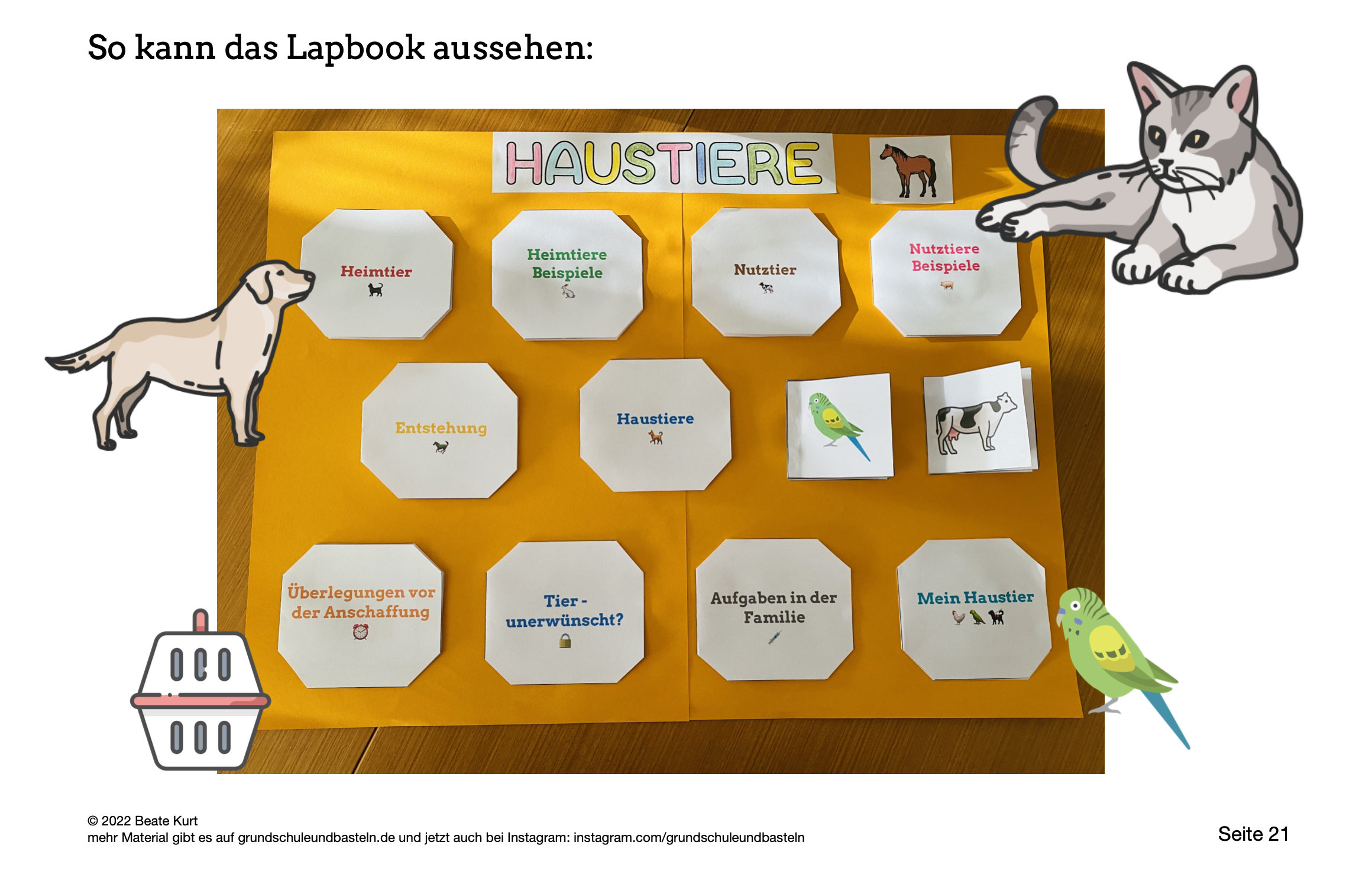  Arbeitsmaterial Lapbook Haustiere 