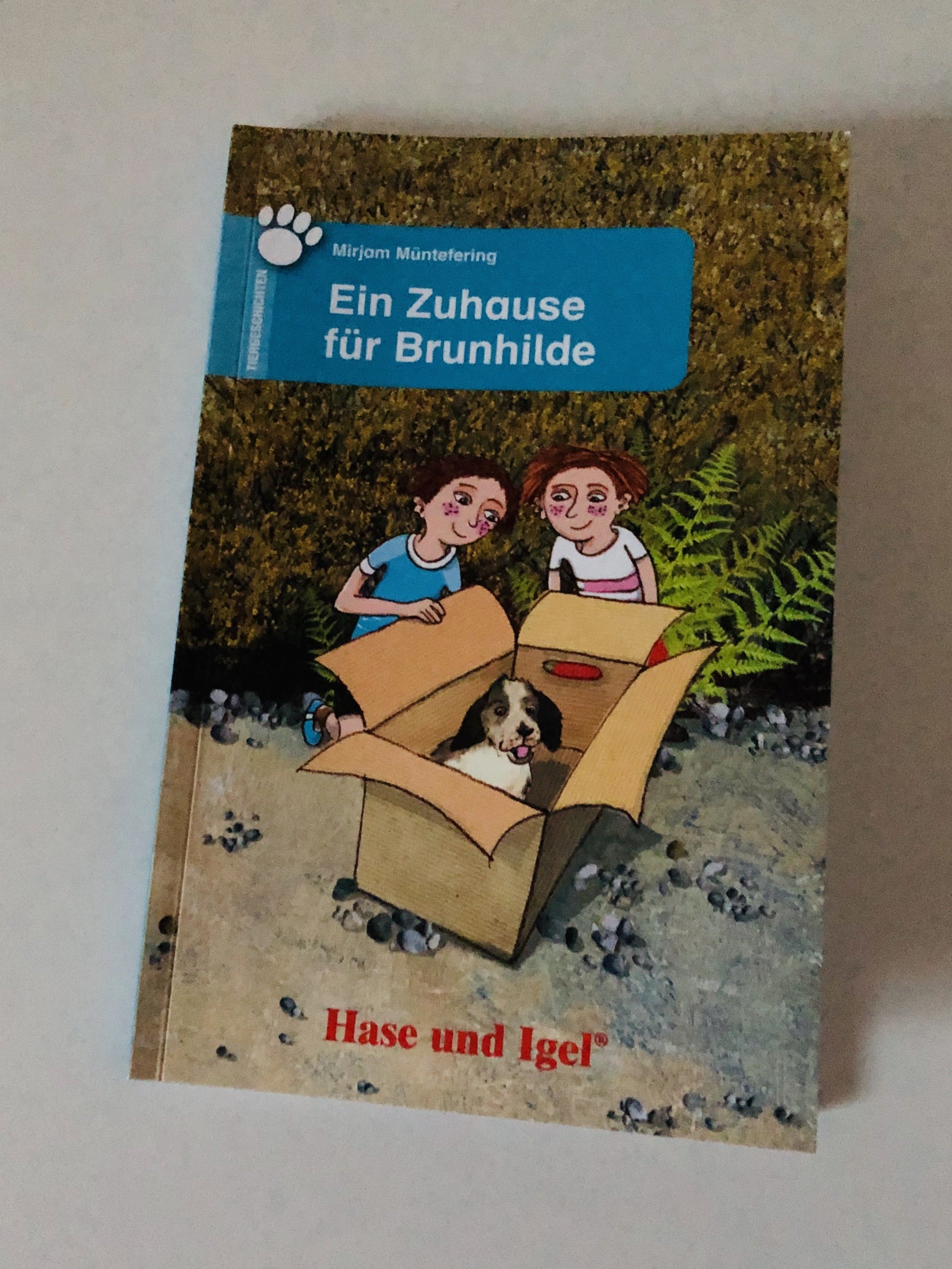  Buch Ein Zuhause für Brunhilde 