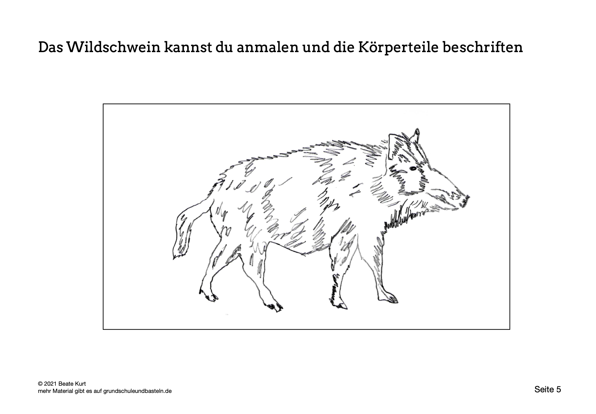  Lapbook Wildschwein 