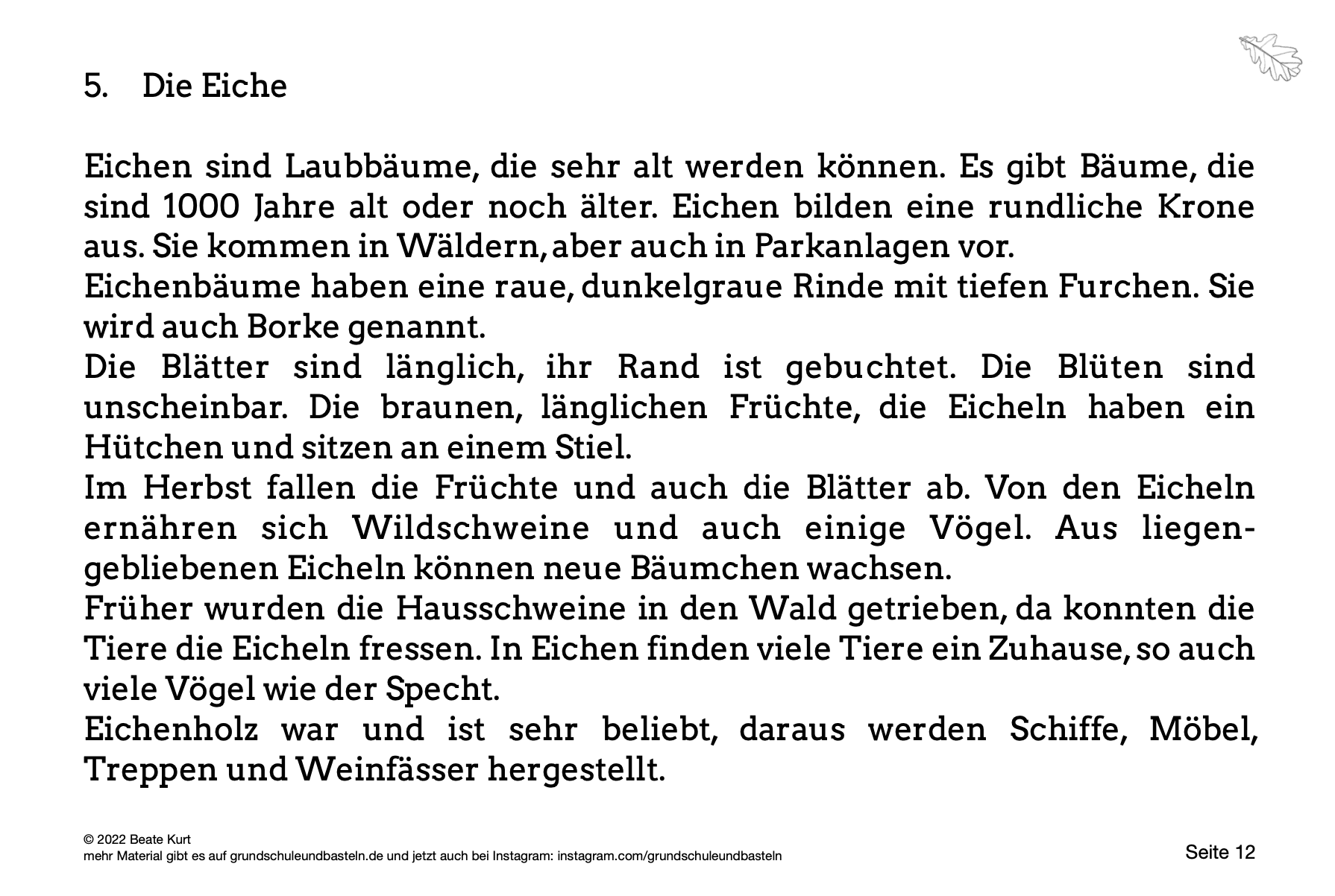  Lernheft Laub– und Nadelbäume 