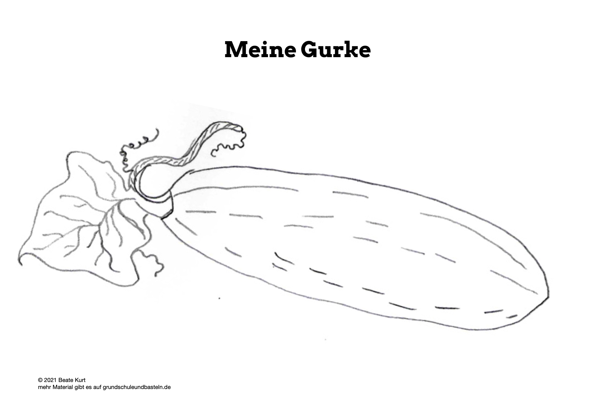  Arbeitsmaterial Lernheft Obst und Gemüse 