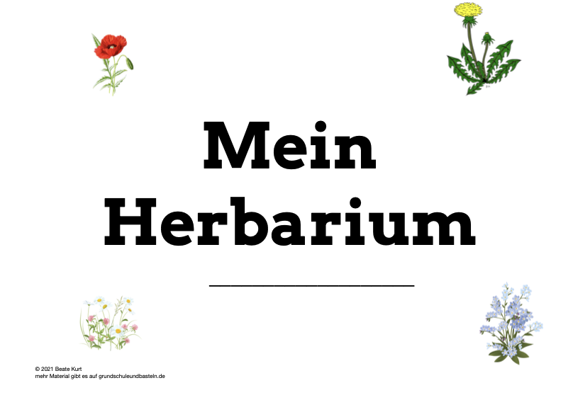  Arbeitsmaterial Lernheft Herbarium 