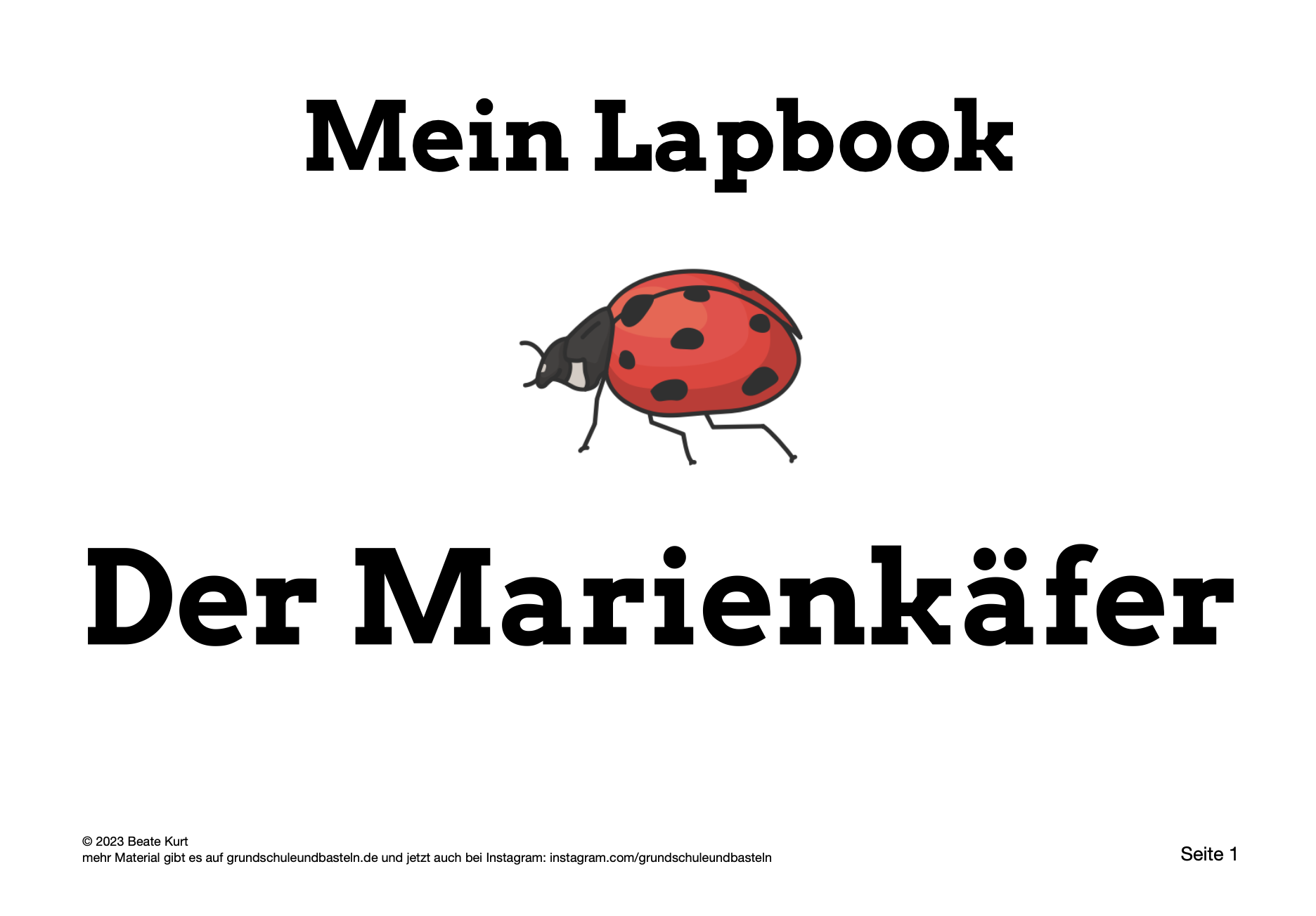  Lapbook Marienkäfer 