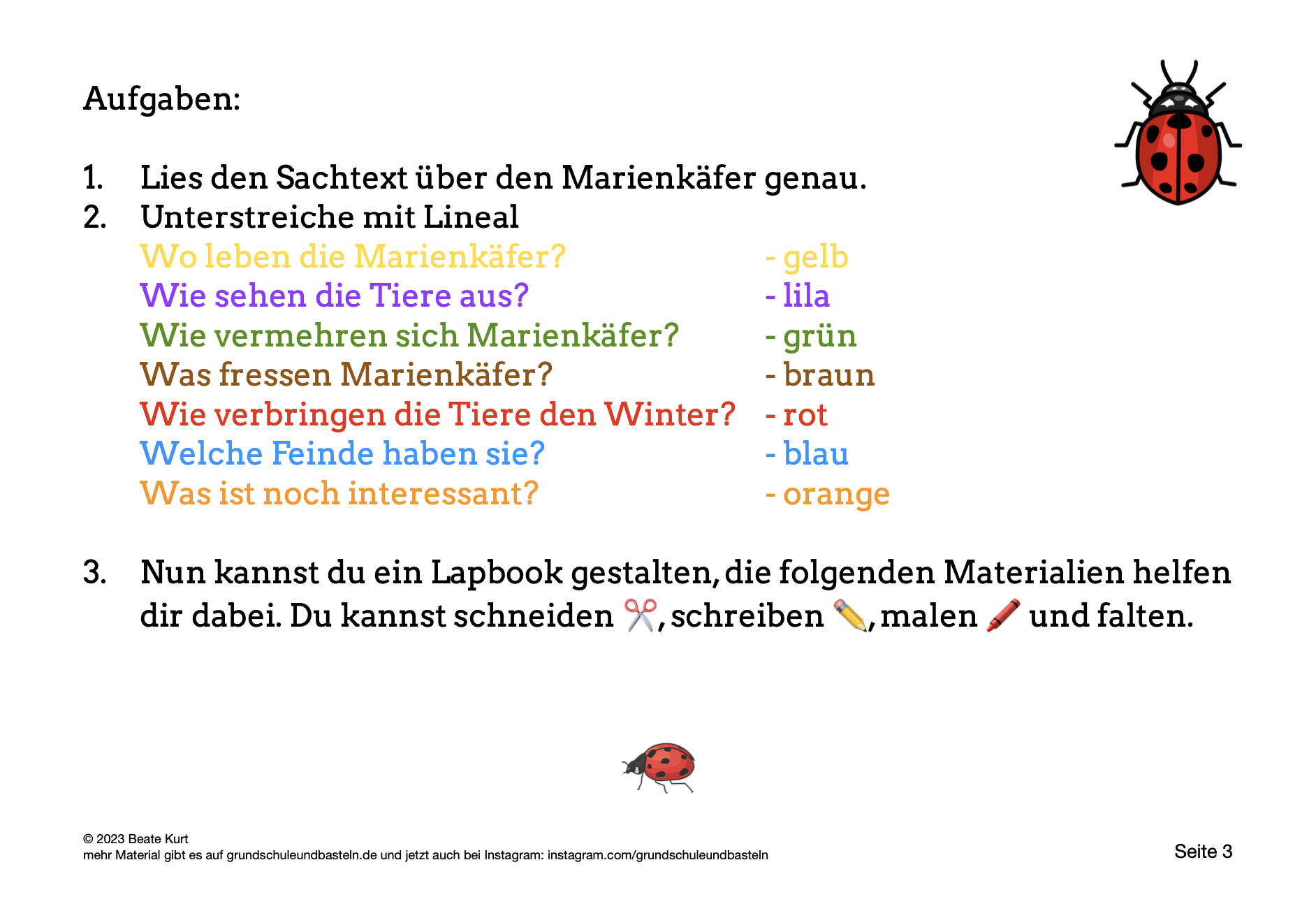  Lapbook Marienkäfer 