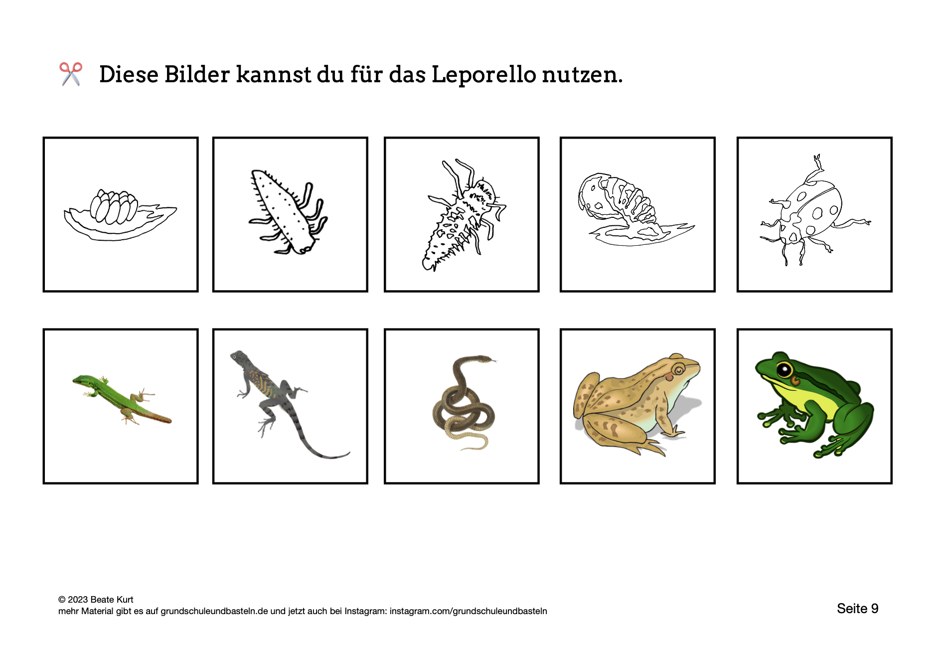  Lapbook Marienkäfer 