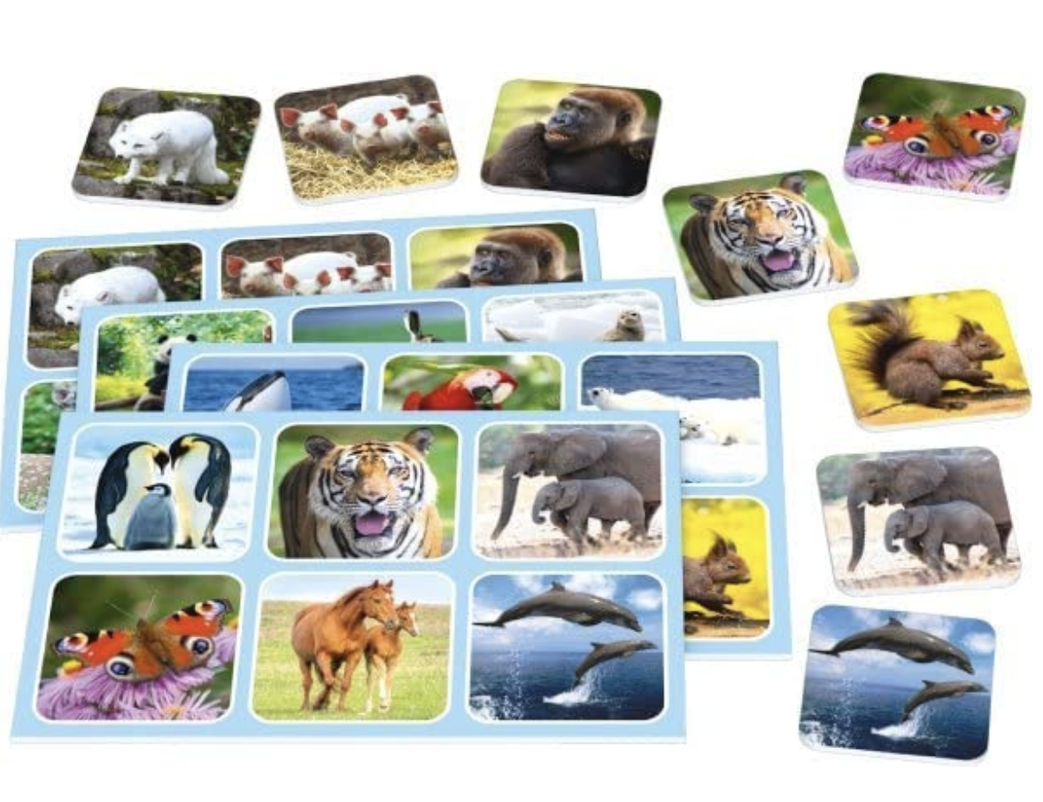  Spielspaß: Zoo–Lotto 