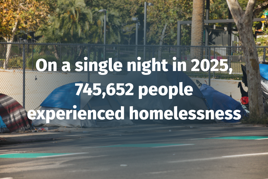 Understanding the Numbers, Strengthening the Response: Reflections on the 2025 Annual Homelessness Assessment Report