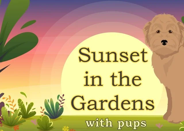 Sunset in the Park (With Pups)