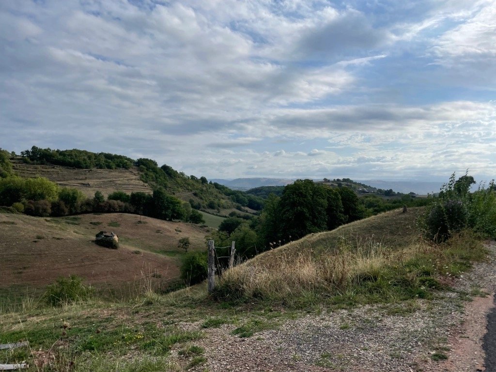 img_5016.jpeg
