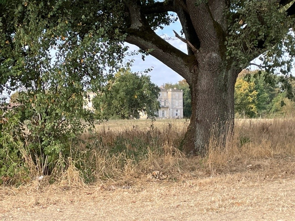 img_6010.jpeg