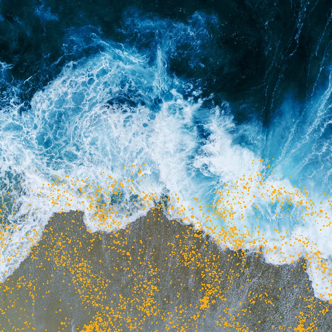 gulp-a-microfibre-capture-filter-that-works-with-your-washing-machine