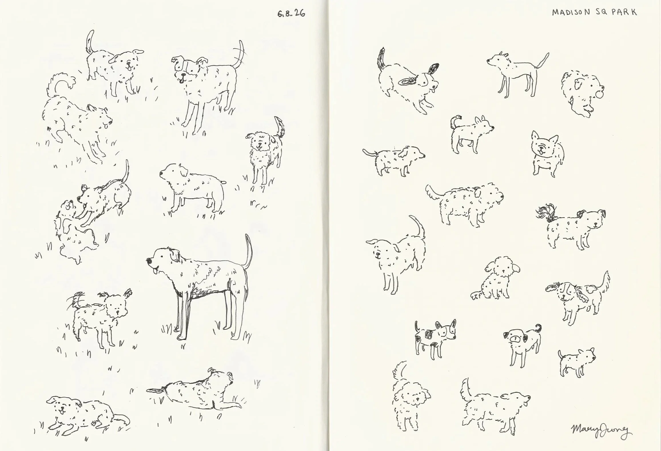 dog+doodles+1.jpg