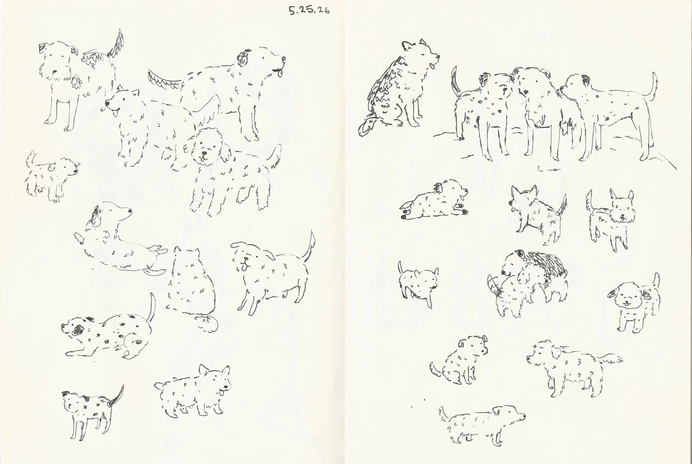 dog+doodles.jpg