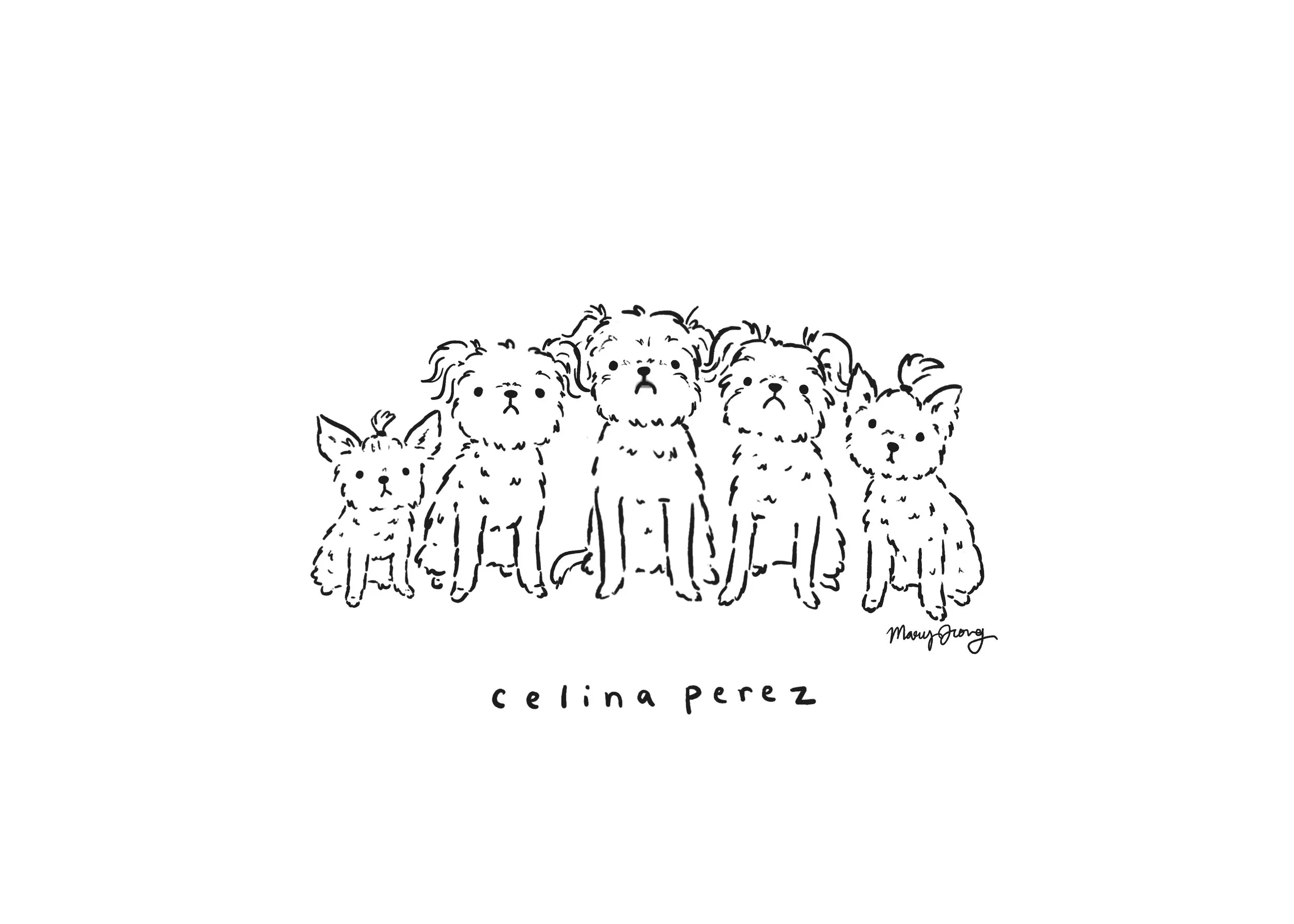 Celina Perez.jpg