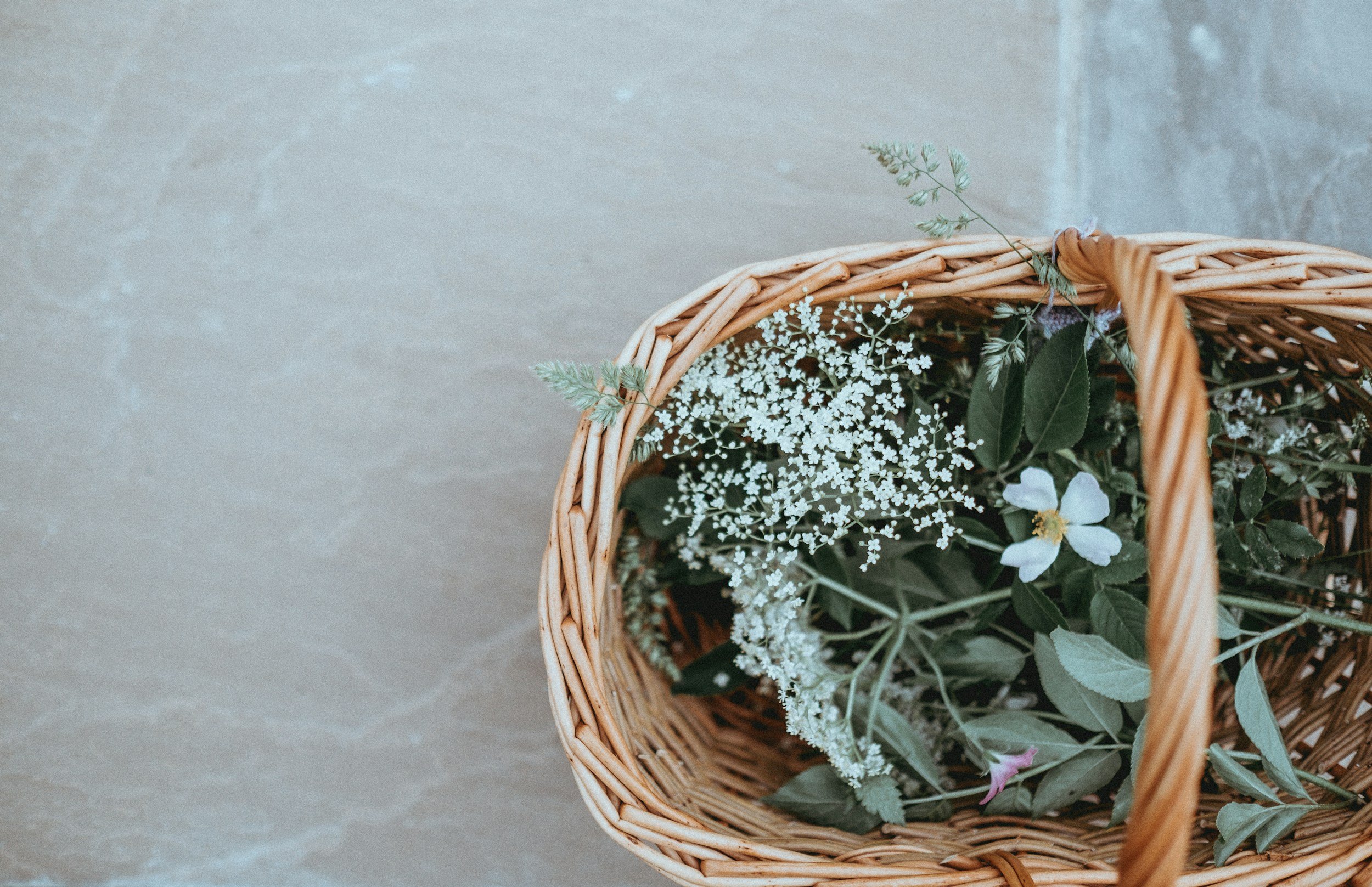 unsplash-image-P43nxvIHnag.jpg