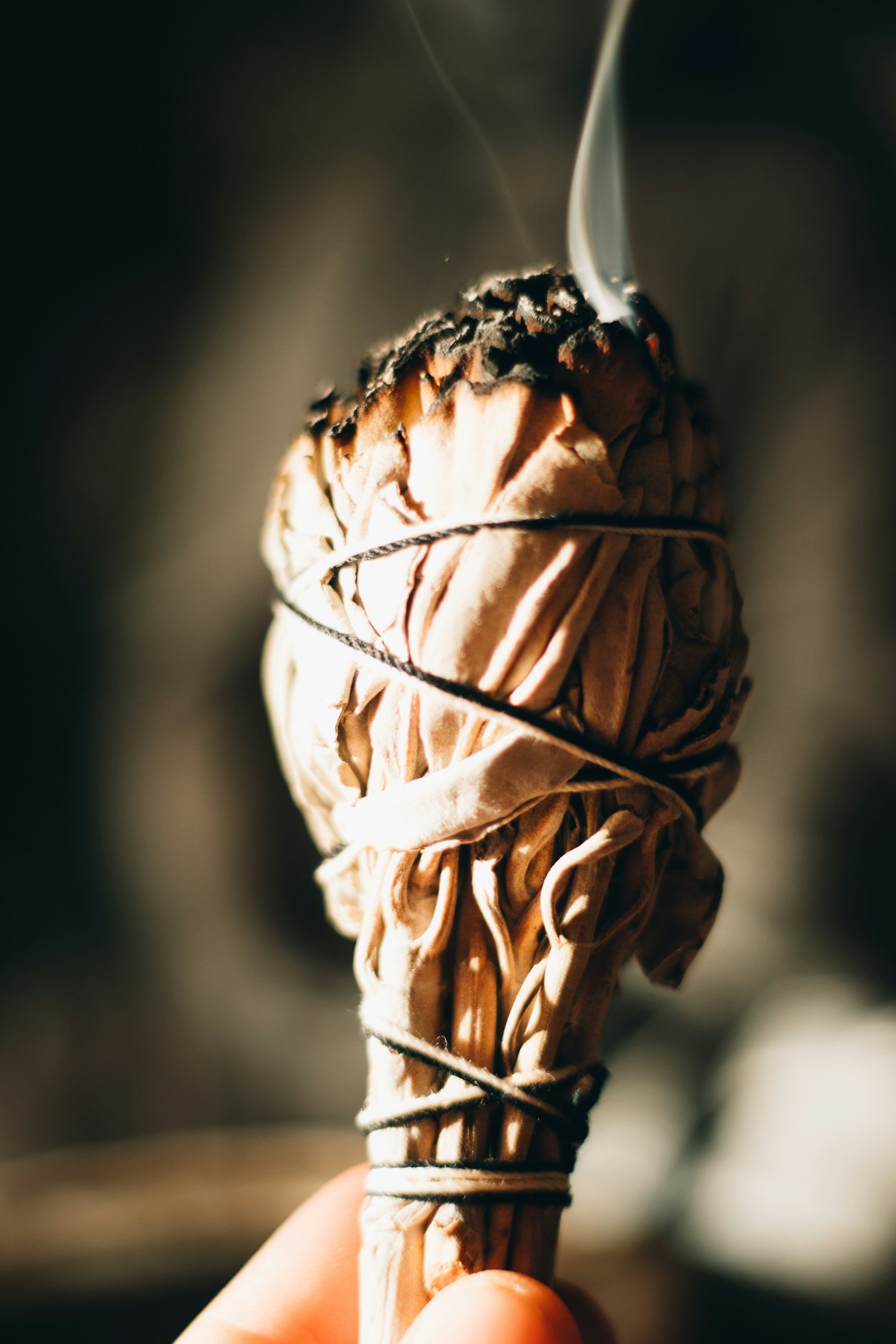 unsplash-image-A0QlS-UGNUU.jpg