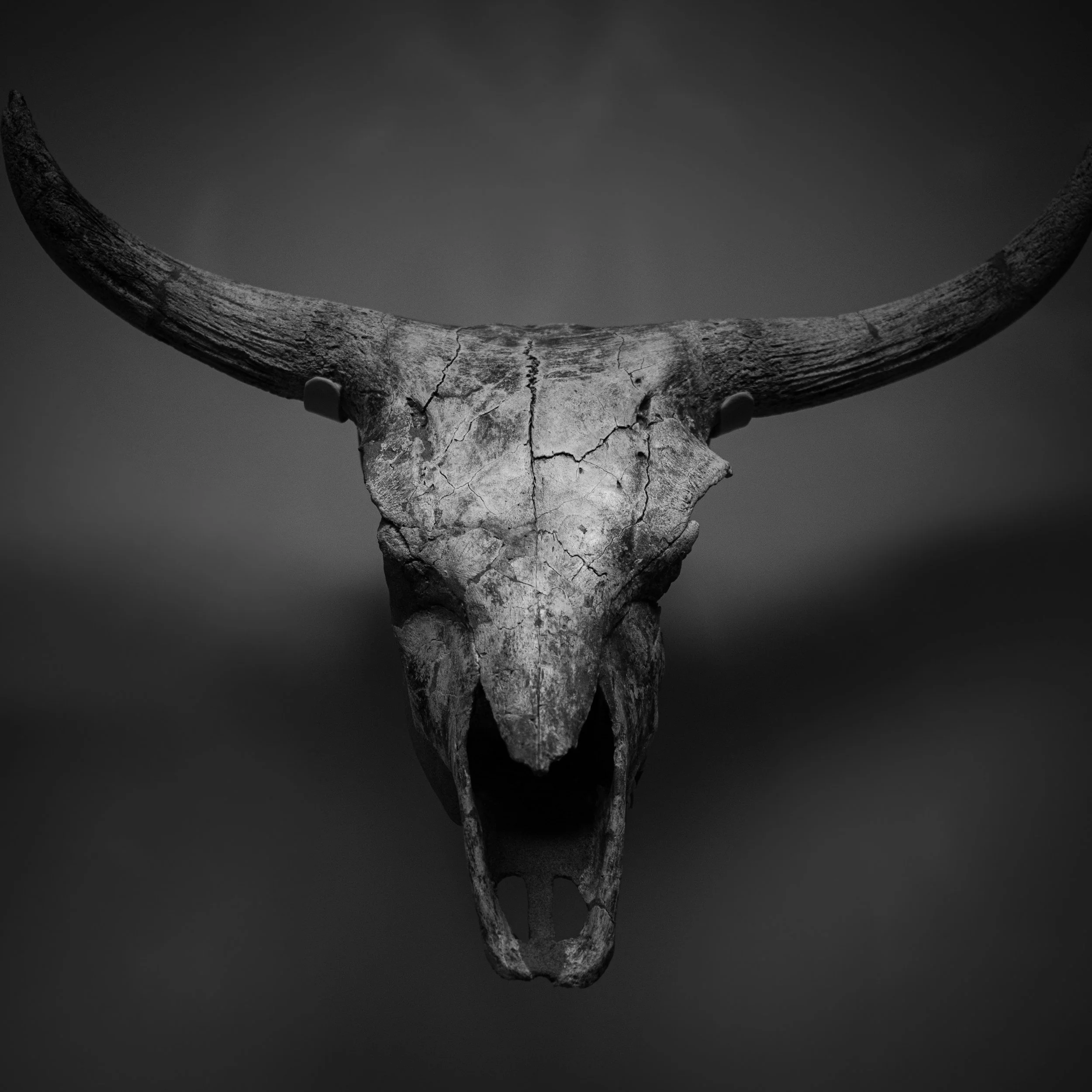 unsplash-image-sJbZGc2xNM8.jpg