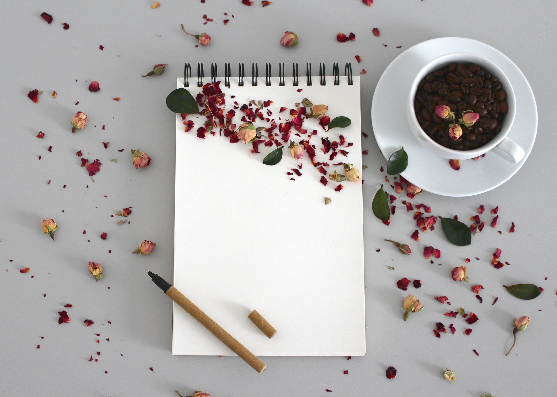 notebook-gf82cbc17b_1920.jpg