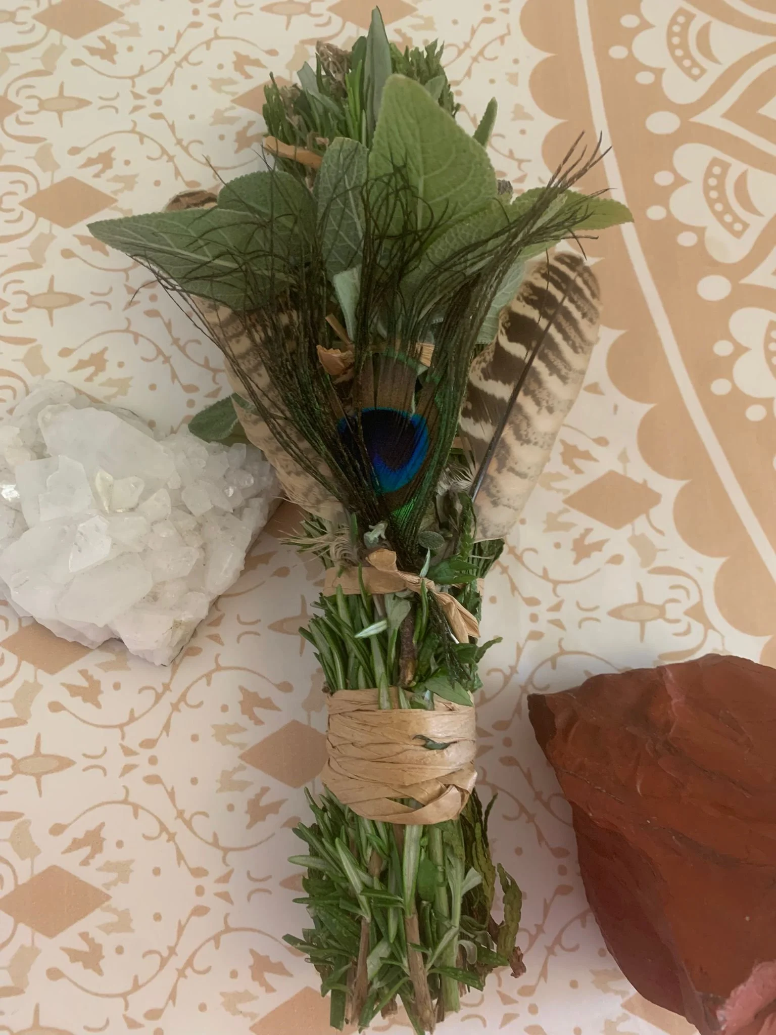 WhatsApp Image 2025-11-02 at 13.23.55.jpeg