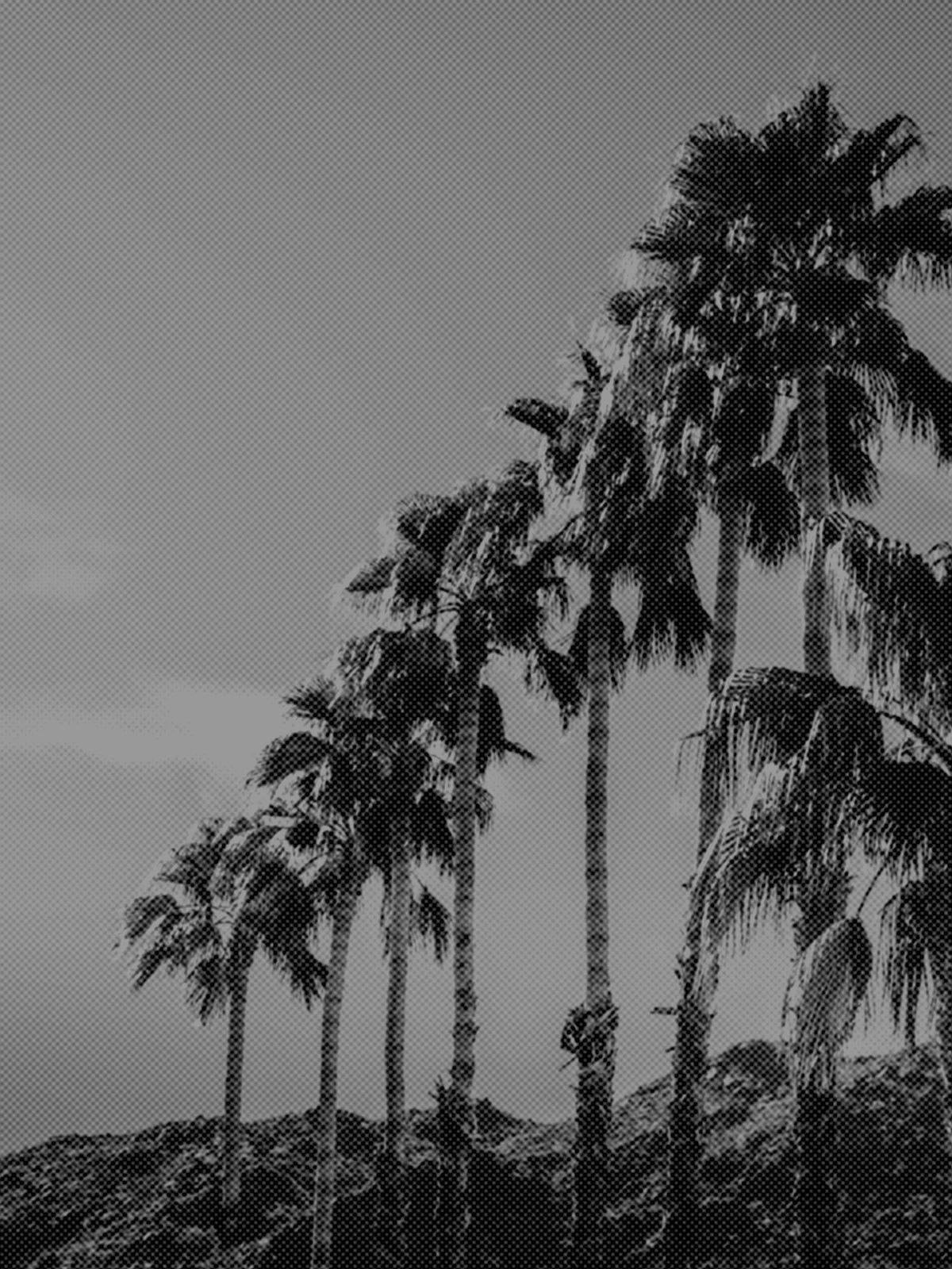 BNP Paribas Open