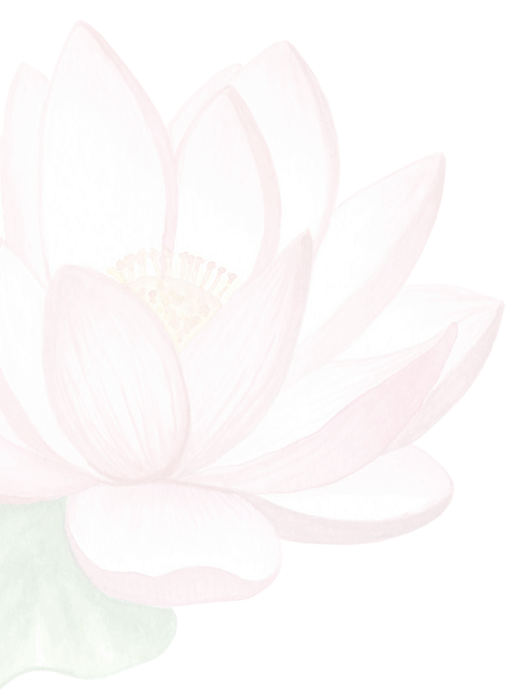 Watercolor painting of a pink lotus flower in bloom with green leaves
