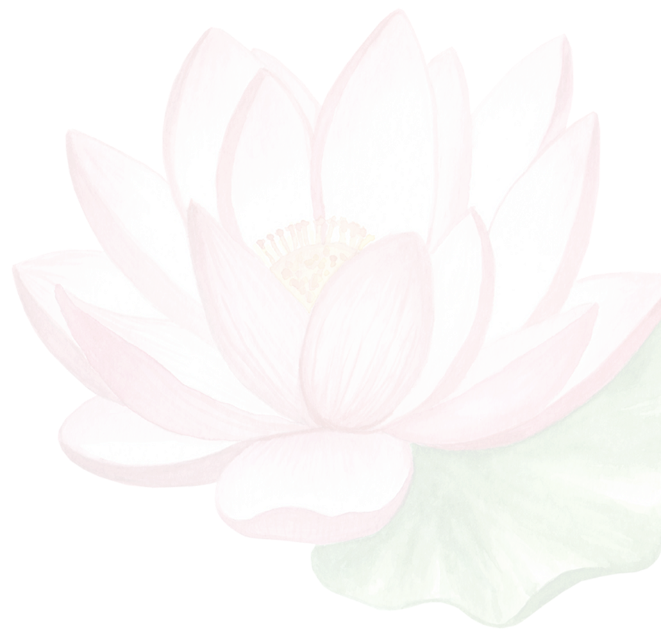 Hand-painted pink and white lotus flower with green leaf.