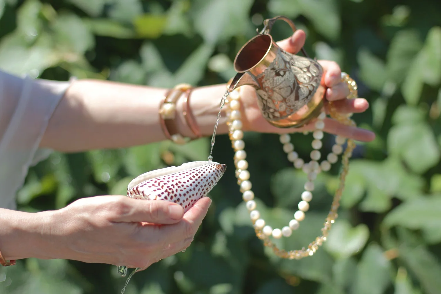 Advanced Ayurvedic Yoga Therapy Training Program — Ayurveda School