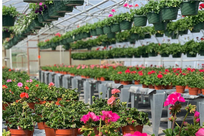 Flowers, Plants, Veggies, Shrubs and Grasses — Thistledown Farm Oregon