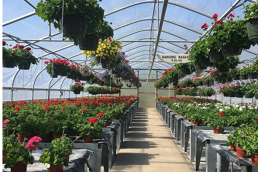 Flowers, Plants, Veggies, Shrubs and Grasses — Thistledown Farm Oregon