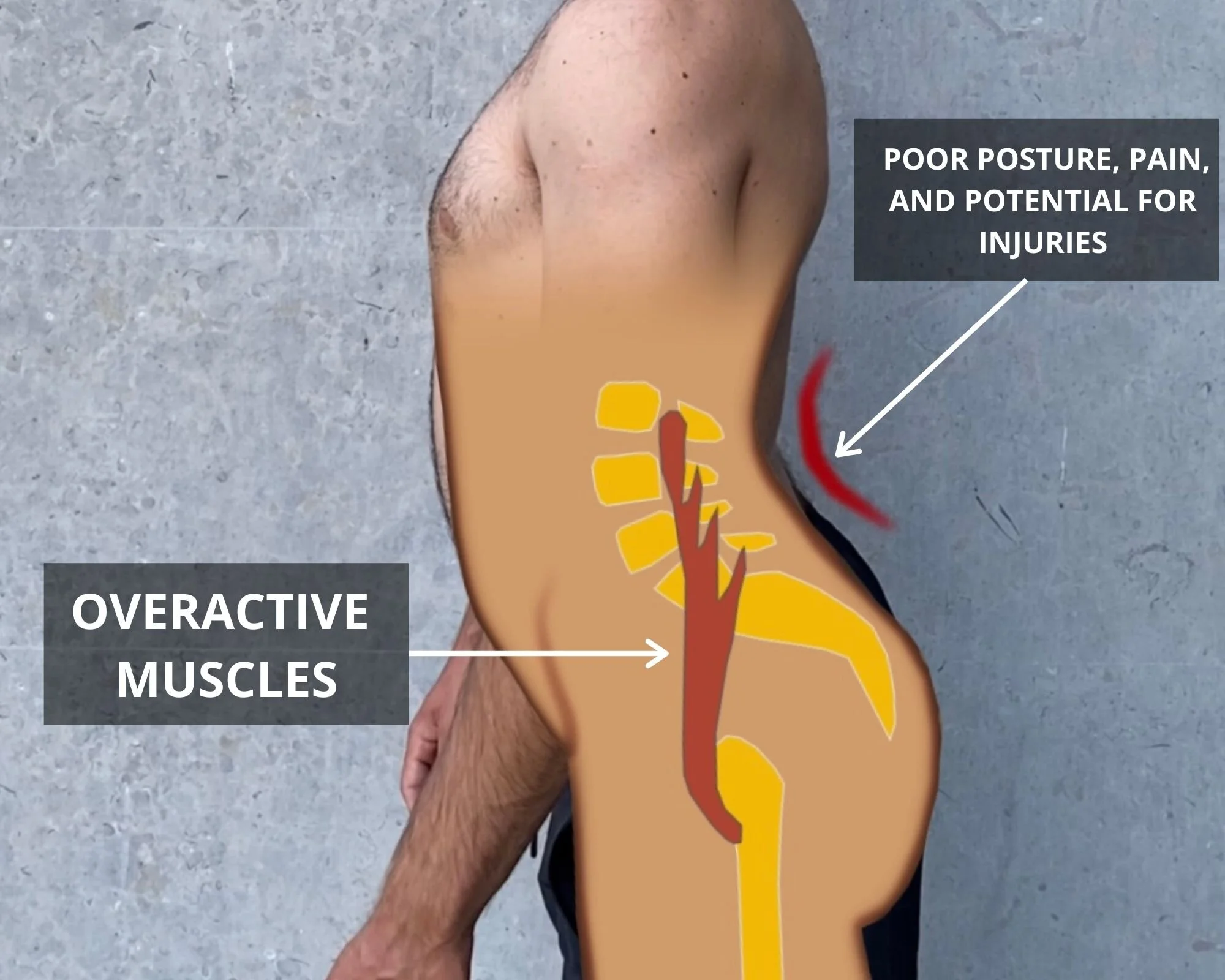 ---------------------- (2).jpg