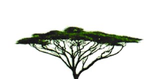 Eagle Heights Africa in BC Society