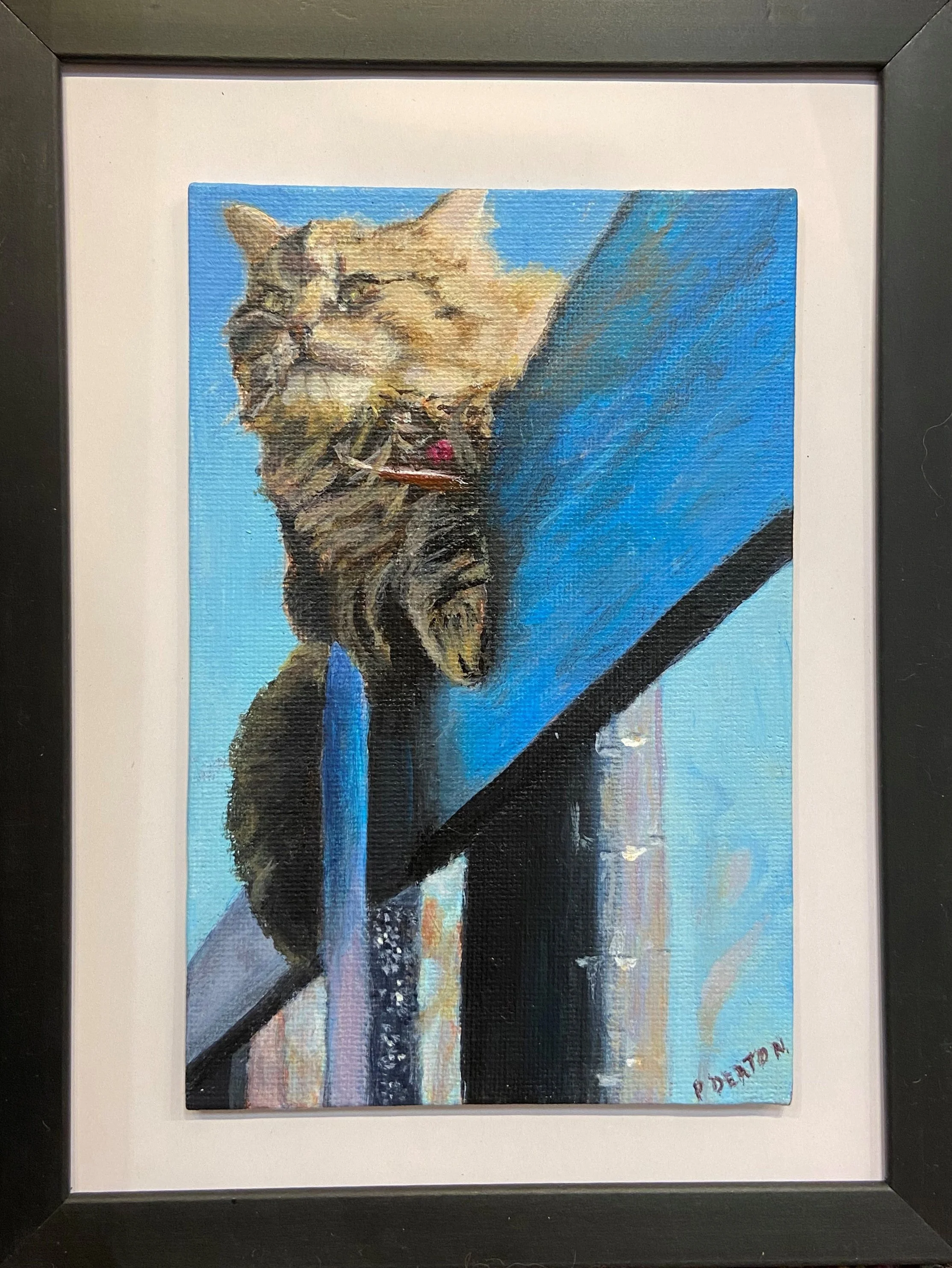 "Barn Cat" | Patricia Deaton
