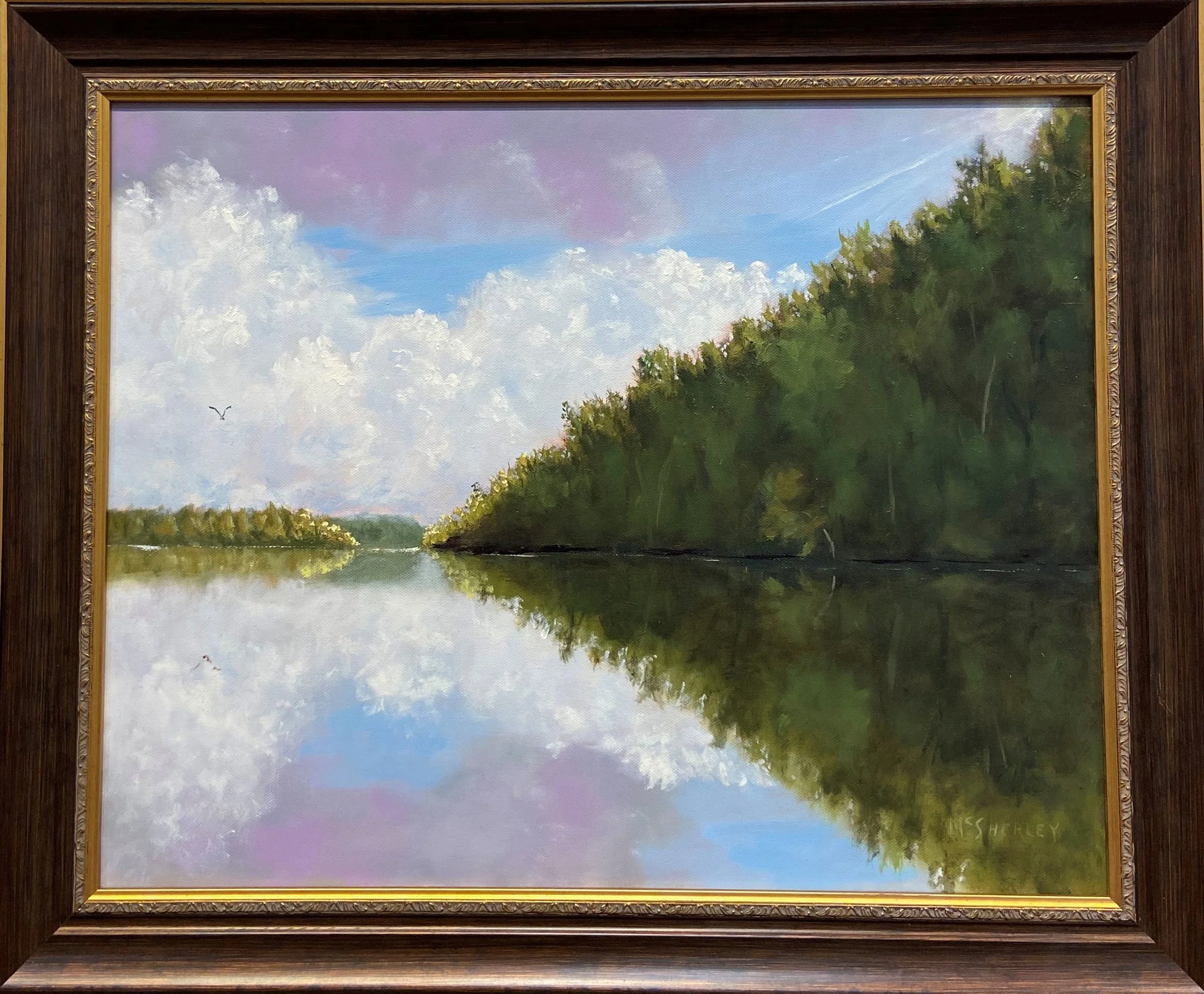 "Let There Be Sunlight" | Lonny McSherley