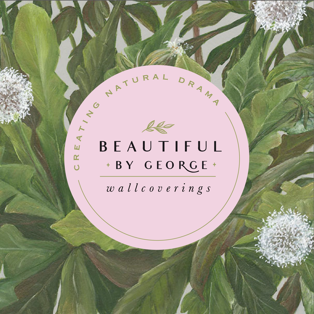 nancy-mccarthy-branding-designer-beautiful-by-george-2.webp