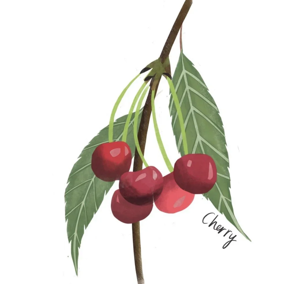 branding-designer-nancy-mccarthy-herb-prints-2.webp