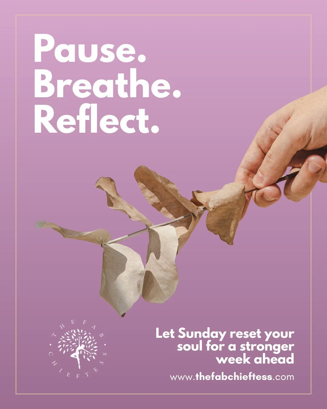 Pause.
Breathe.
Reflect.

Let Sunday be your soft reset. Not a pressure filled preparation for the week ahead, but a gentle return to yourself.

You don&rsquo;t need to have everything figured out.
You just need presence, kindness, and space to liste