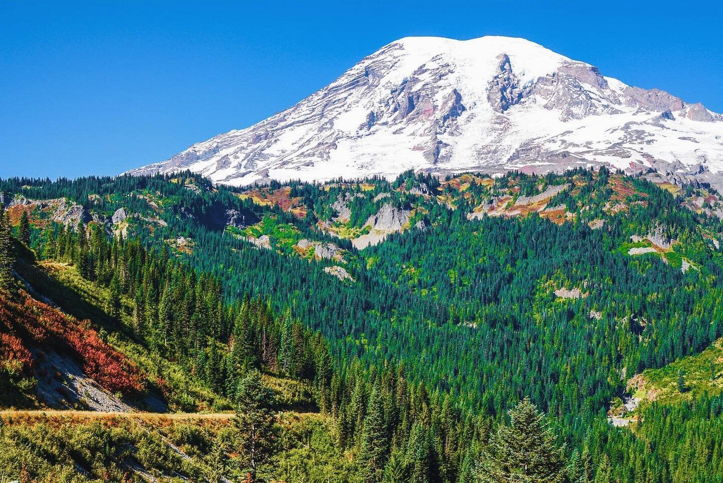 Great Hikes for Kids: Mount Rainier (Tahoma), Washington. 🚸

Check out this rundown of family and kid friendly hikes at Mount Rainier in Washington State including Sunrise Rim, Sourdough Ridge Trail, and Grove of the Patriarchs. 

Get outside. 
Make