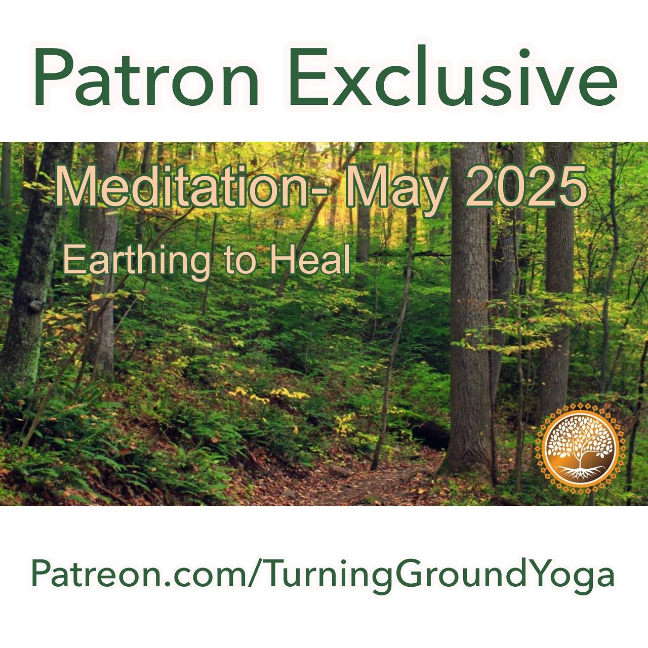 Patron Exclusive&hellip; LINK IN BIO. Take off your shoes. Put your feet on the earth and go deep with this healing, earthing Meditation. #earthing #meditation #earthingmeditation #onlinemedjtation.