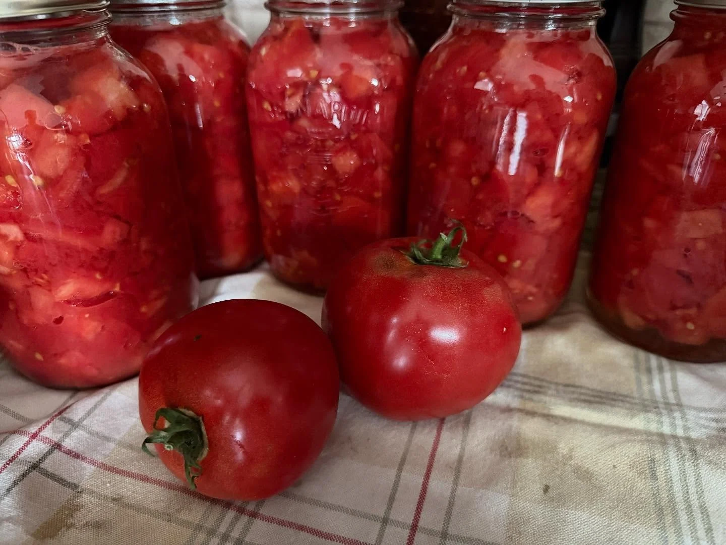 It&rsquo;s a tomato-y kind of day. 🩷🍅