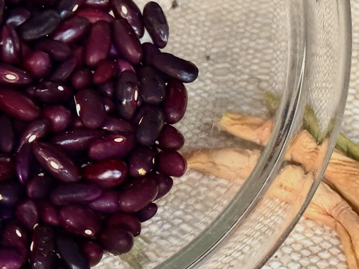 Next year&rsquo;s bean seeds are beautiful. Why do they feel so lovely running through your fingers? It&rsquo;s one of the little things that speaks to our DNA&rsquo;s hard wired ambition for food security.