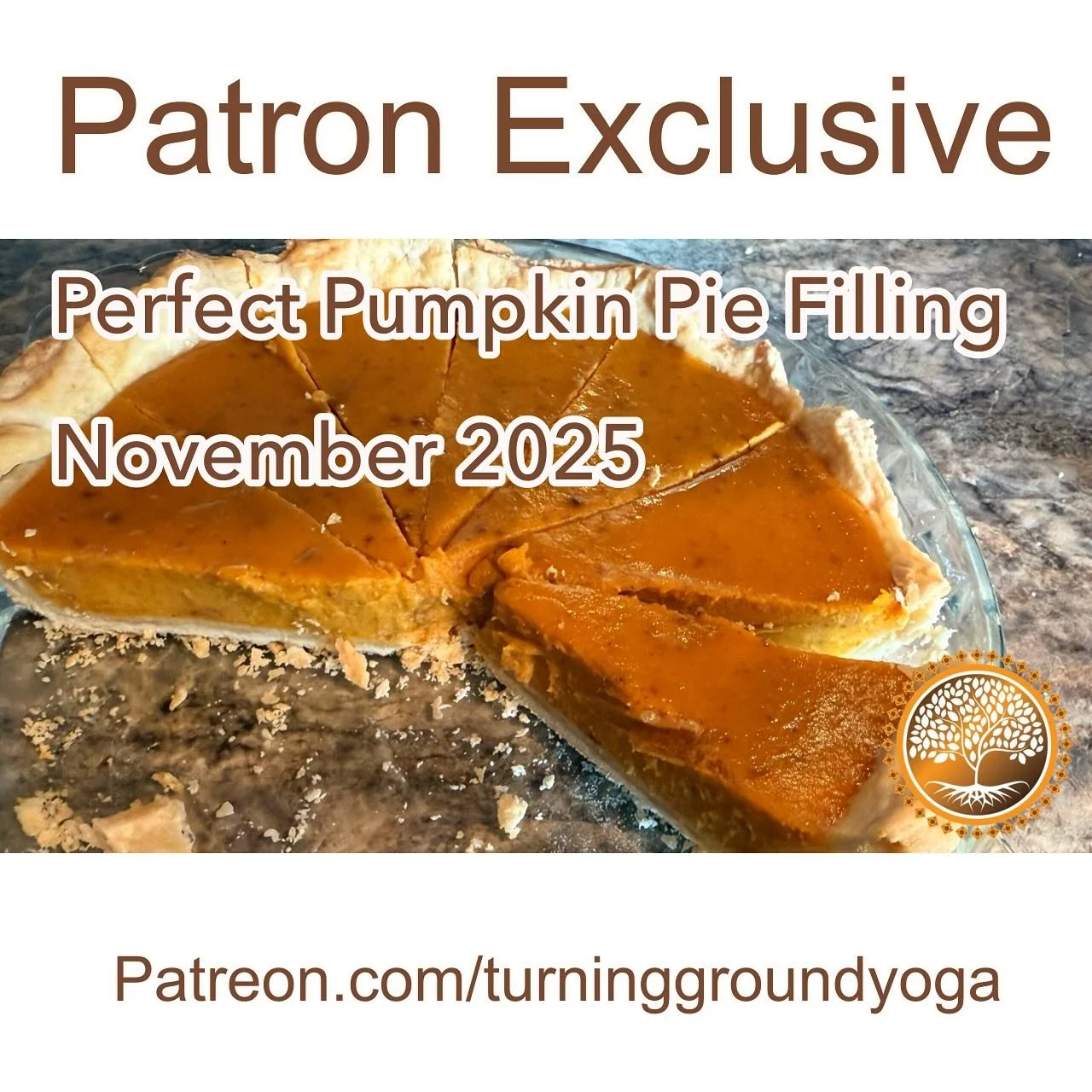 PATRON EXCLUSIVE&hellip;Link in bio- you&rsquo;ll be the favourite this holiday season with my perfect pumpkin pie filling. Use a can or pumpkin puree or follow the instructions to make it straight from the pumpkin. Either way, it&rsquo;s delicious! 