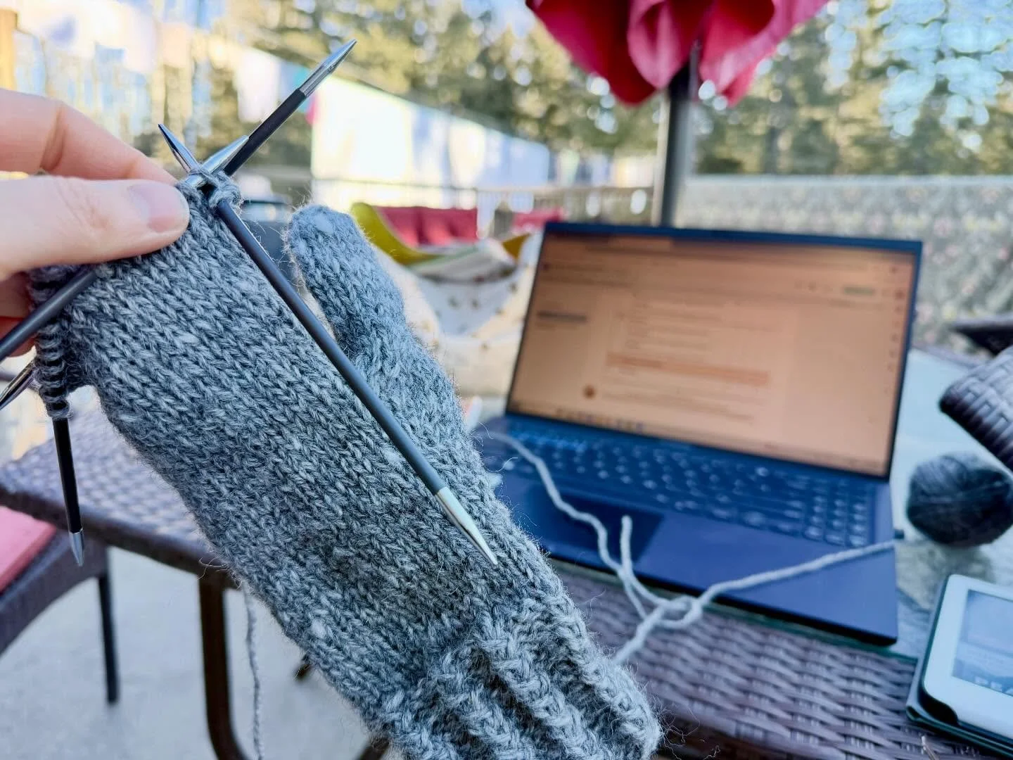 Day five of the February Knitting Challenge for the Canadian Cancer Society was all about enjoying the unseasonably warm temps with laundry on the line, mittens on the needles and a big hairy dog for good measure. Check out the fundraising page. http