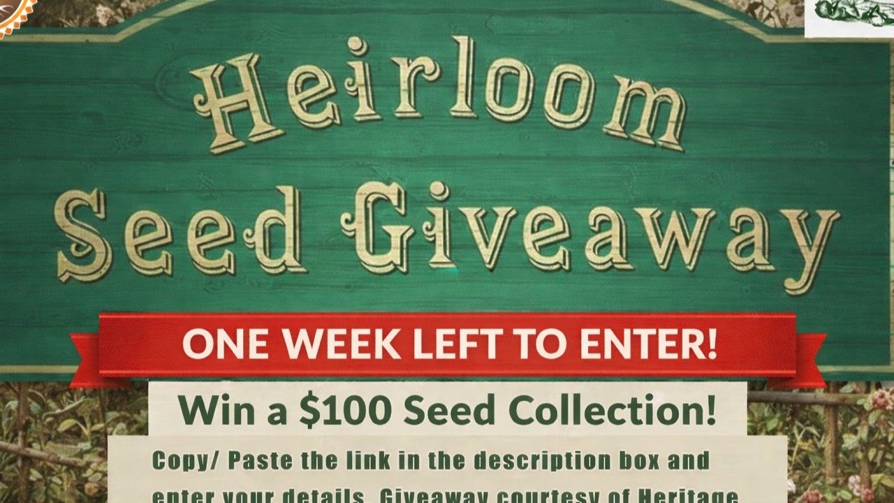 ⏳ ONLY ONE WEEK LEFT!

Don't miss out on your chance to win the Heritage Harvest Seed Giveaway! We are down to the final seven days to enter and win a beautiful collection of heirloom seeds to transform your garden.

Through our partnership with Heri