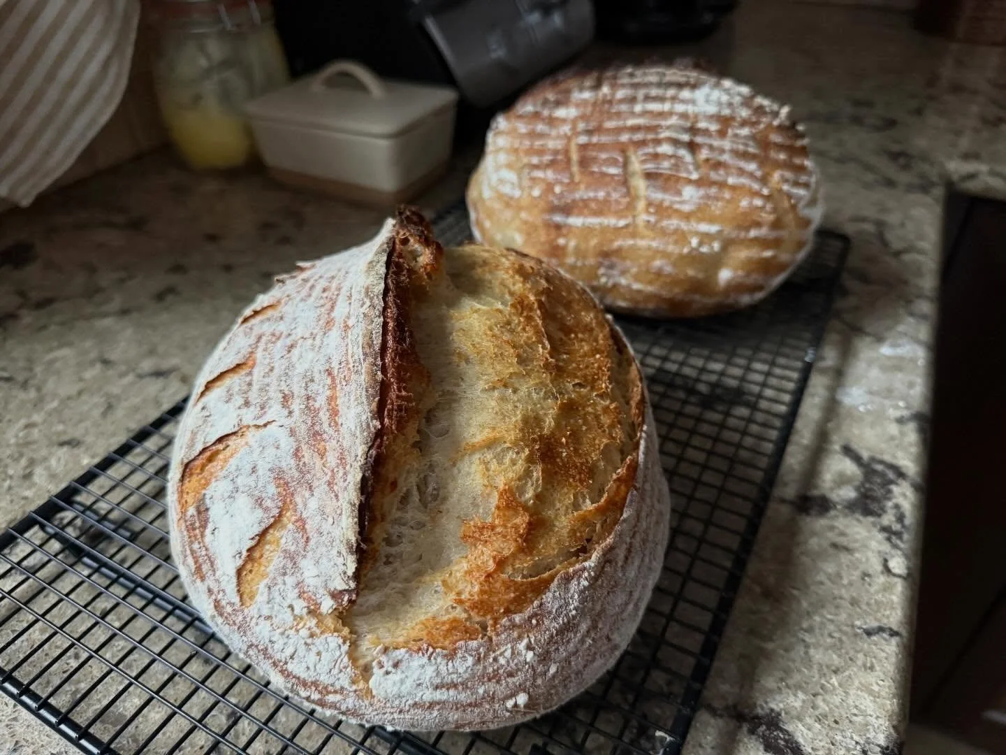 Wishing you all a very Happy Easter 🌷🐣

Today is filled with everything we love most &mdash; a kitchen full of cooking, the smell of fresh sourdough (with a fun little bunny surprise in every slice 🐰🍞), some still-edible spuds from the root cella