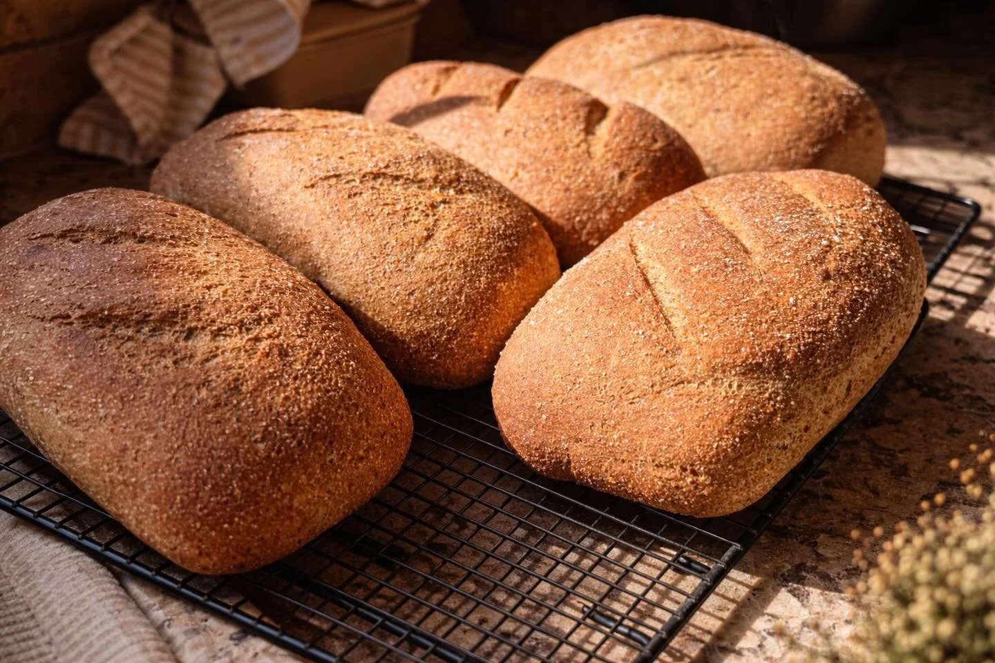 There&rsquo;s something deeply grounding about baking bread the old way&mdash;starting with freshly milled grains, simple ingredients, and time.

These loaves are made with about 30% einkorn, an ancient grain that&rsquo;s been nourishing people for t