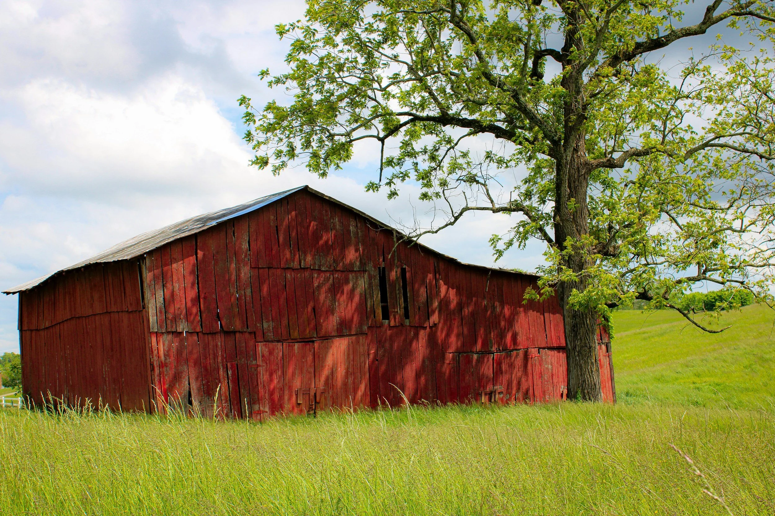 What Might 2026 PLC Payments Look Like?