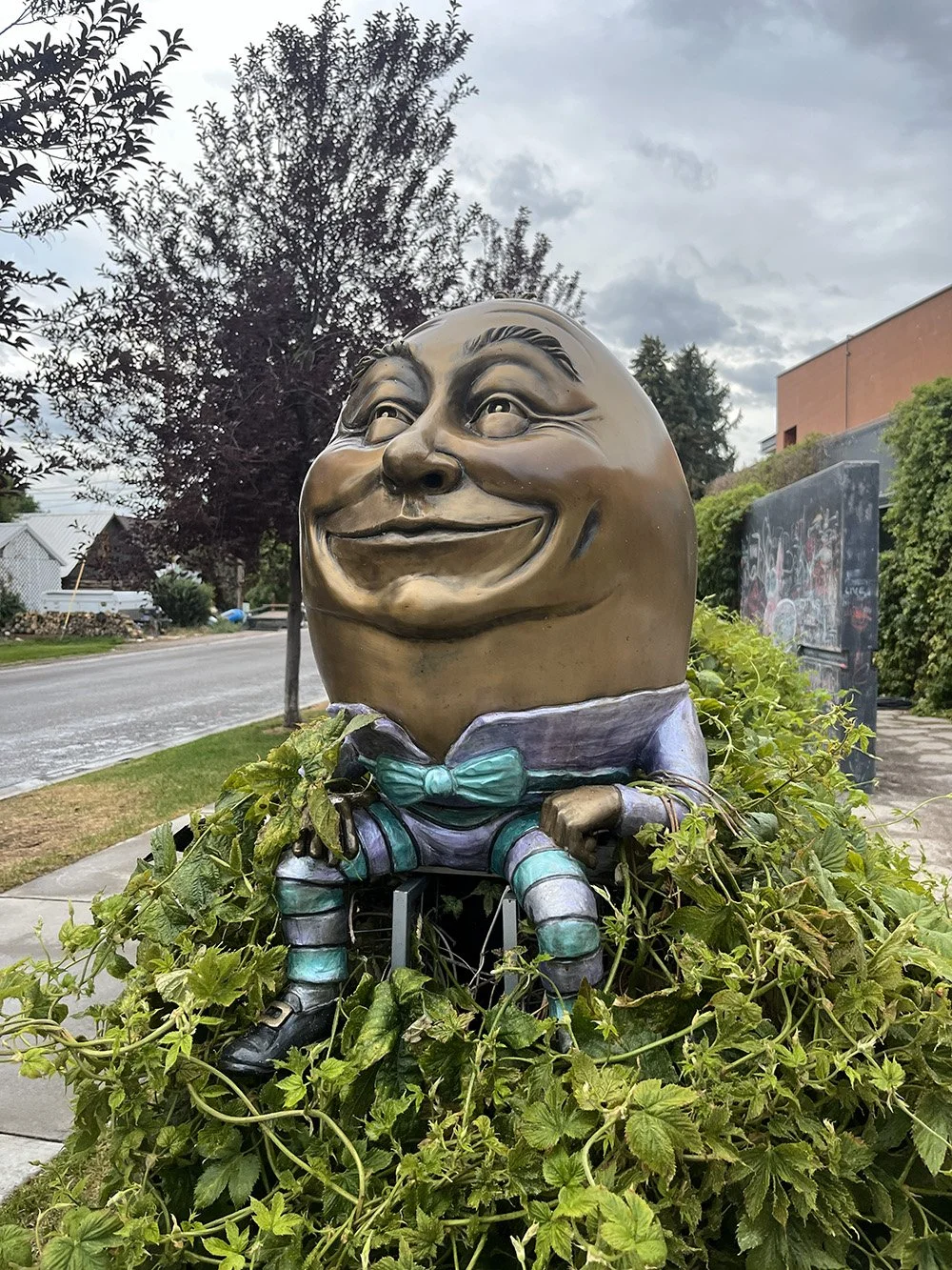 Carbondale's Distinct Neighborhoods: Finding Your Perfect Fit